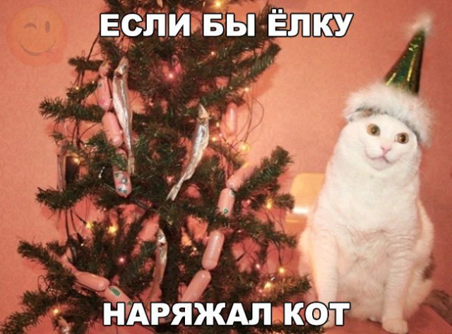 Порция картинок