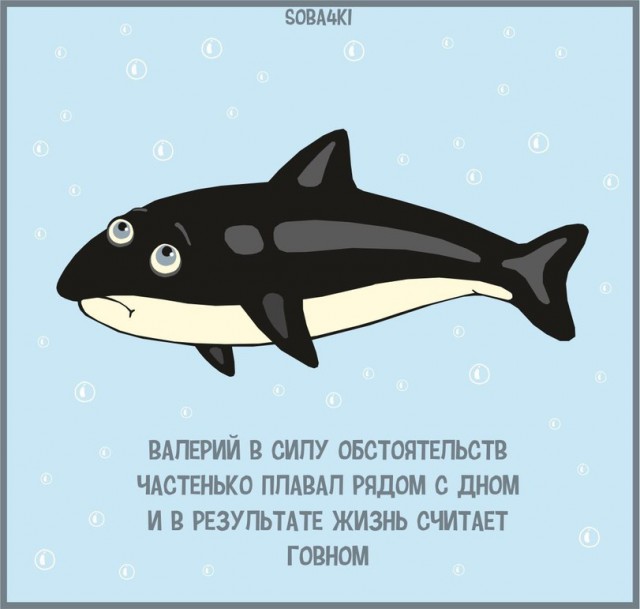 Приколы в стиле деградация