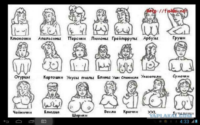 Разбор бывшего прапорщика