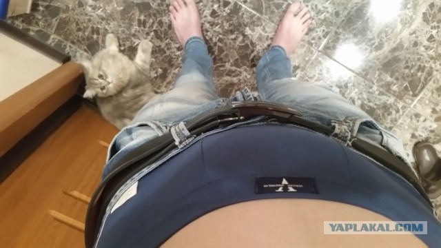 Удобная модель женских джинсов, которые понравятся каждому мужчине
