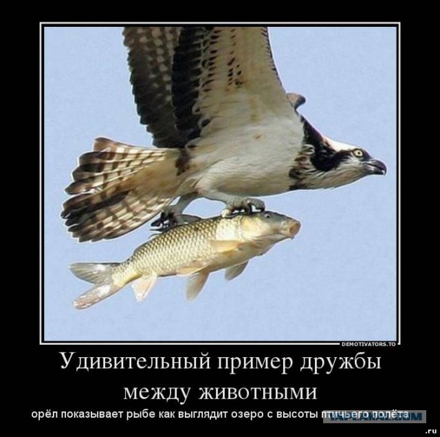 Начал тонуть, но не тут-то было!