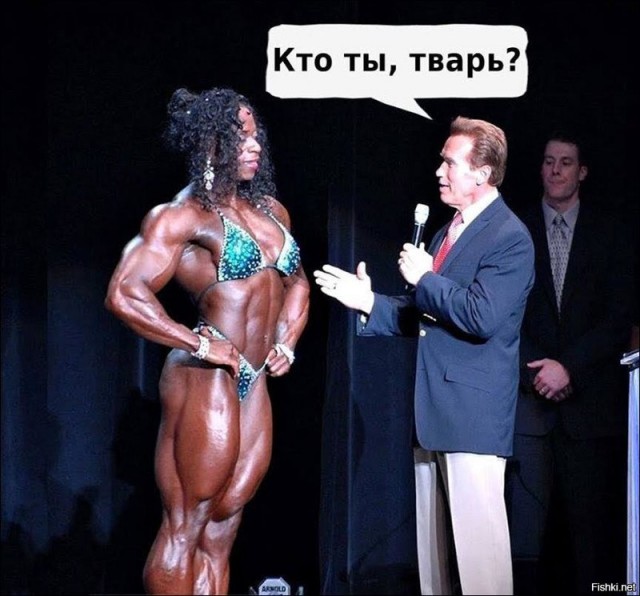 Тупик эволюции