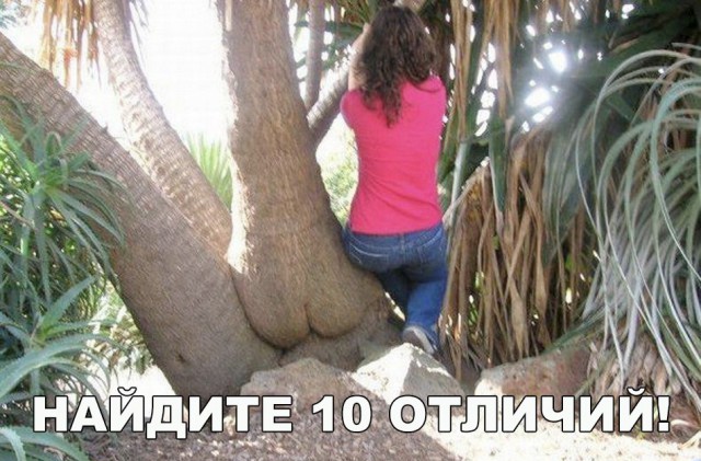 А вот и деградация подоспела. Ура, товарищи!