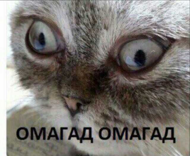 Итоги проверки пользователей