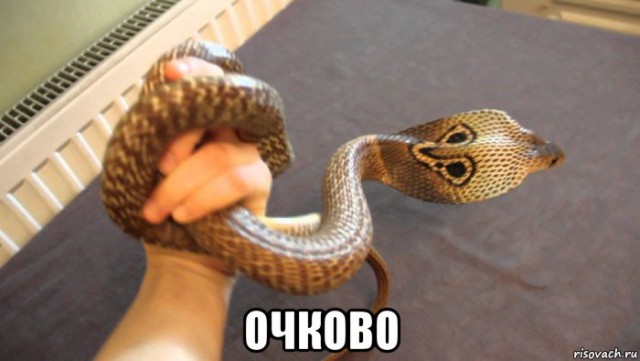 Запоминаем выражения