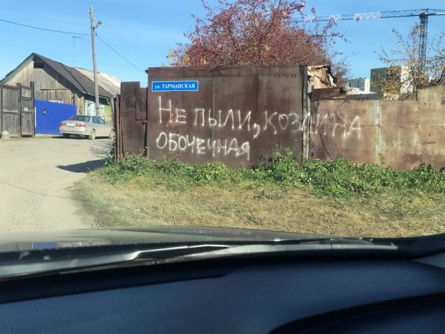 Скотсети и прочие интернеты 18.10.19