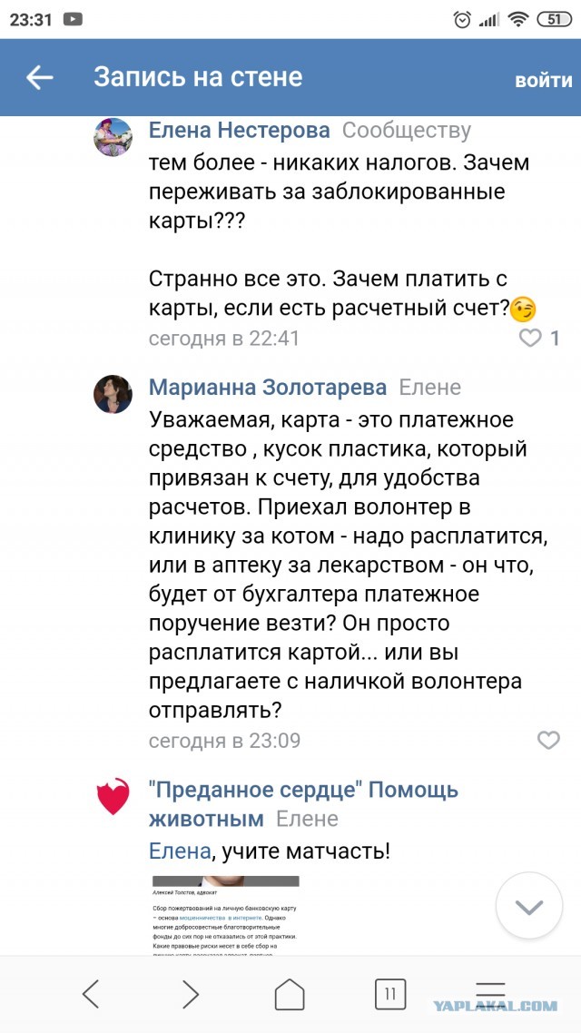 Помогите вернуть кота! Приют "Преданное сердце" украл кота и не отдает!