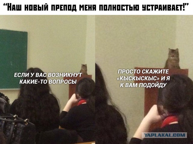 Немного картинок с надписями и без - 29