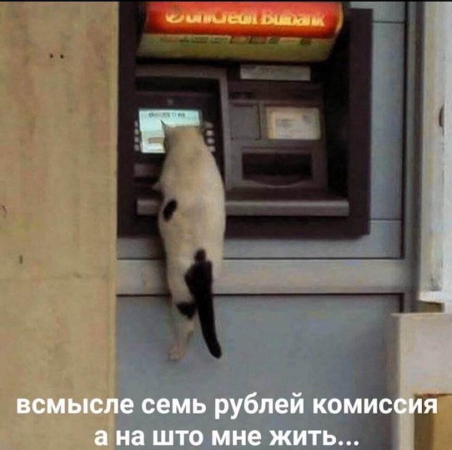 Картинки с надписями и без
