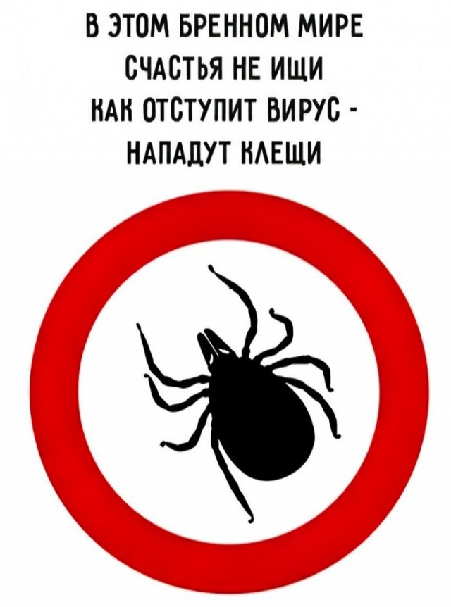 Немного картинок для настроения 22.04.20