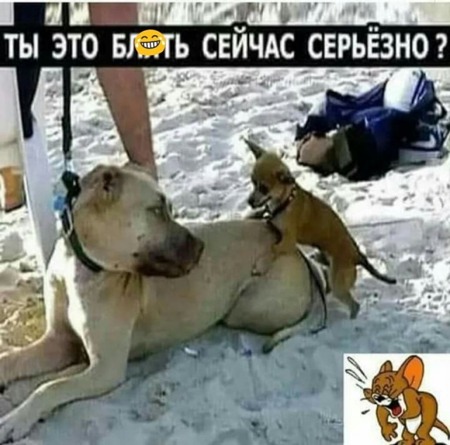 Немного картинок для настроения 05.05.20