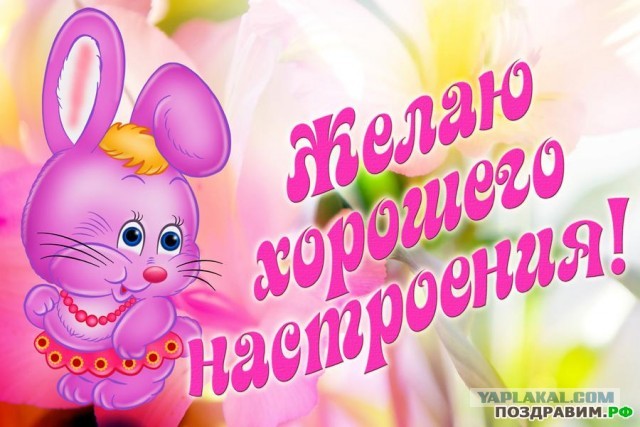 Почему среди мужчин так много мудаков?