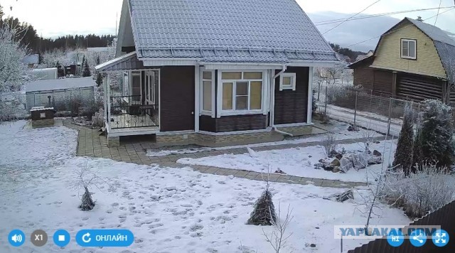 На ком нынче женятся нормальные мужчины