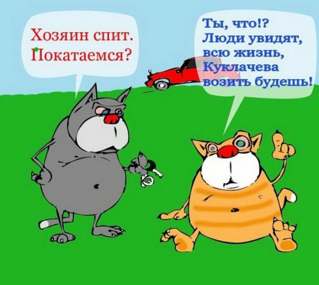 С котопятницей! Улыбнемся?