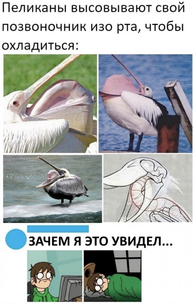 Опять 25! 26.12.2020