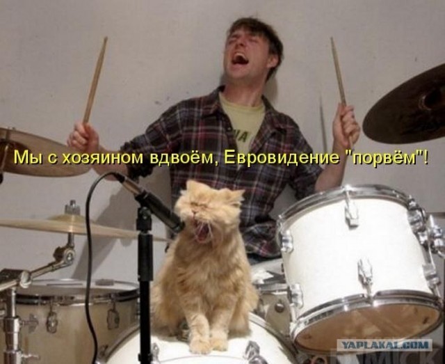 Кот угадун