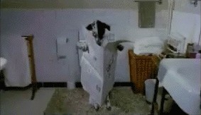 Собачье место