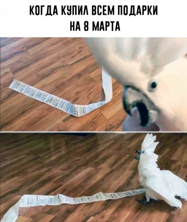 Картинки и мемы для настроения