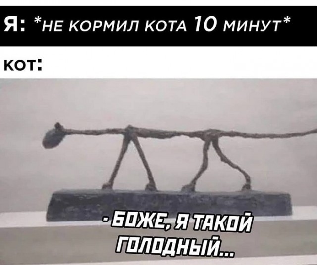 Картинки с котами и про котов