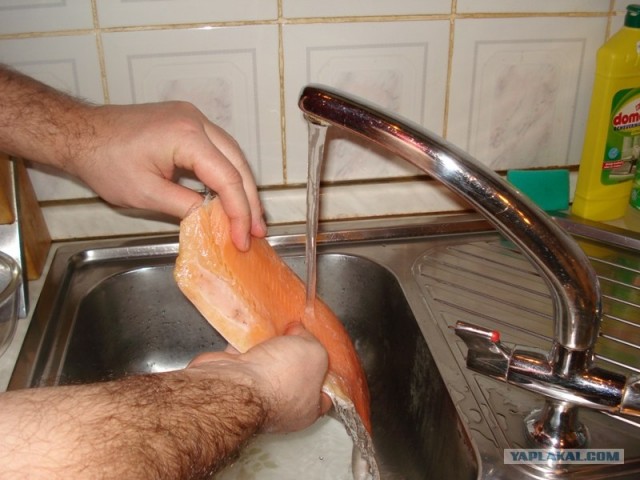 Все из рыбы!