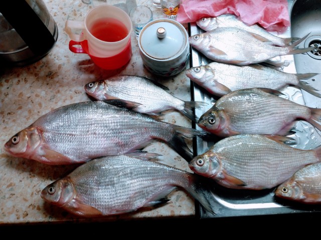 НЛО, Белоярское водохранилище 20.07.2021