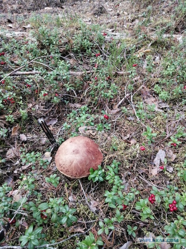 Не важно сколько у неё было, главное быть лучшим?