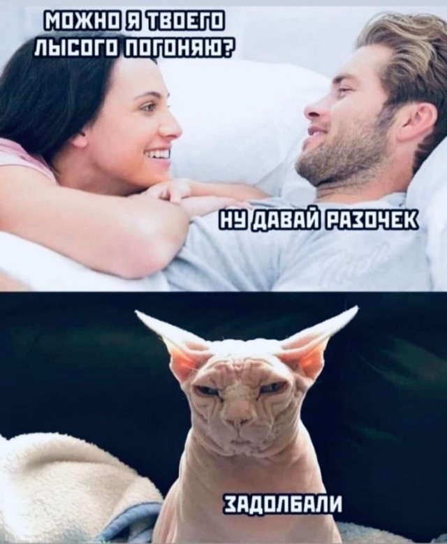Пятница. И немного слегка пошлых картинок с надписями и без 16+ (27.08)