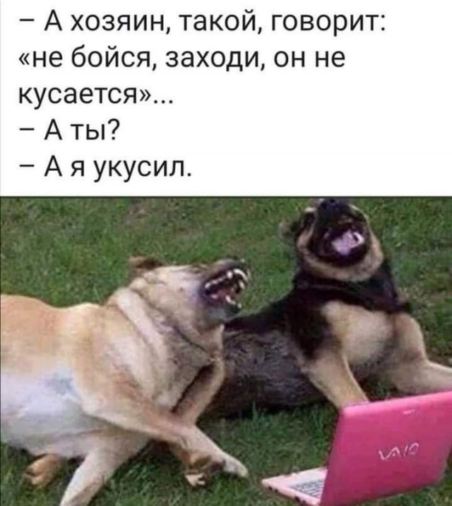 Кретинизмы из сети 09.09.2021