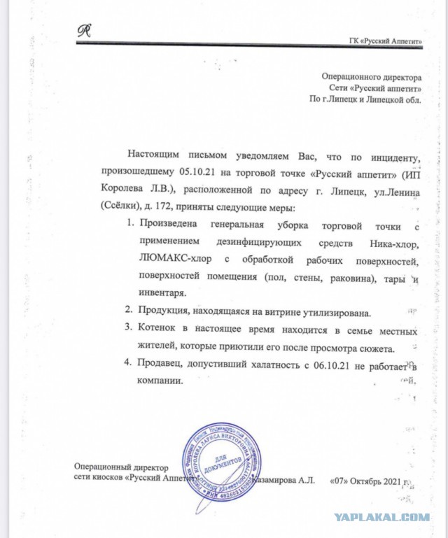 Кот хорошо поел