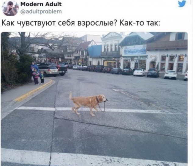 Картинки и мемы для настроения 13.10.2021