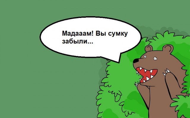 В Сочи медведи погнались за девушкой