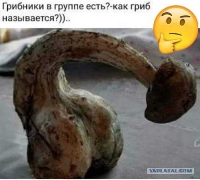 Всяческие картинки 27.12.2021