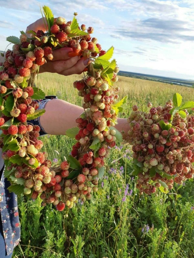 Просто позитив