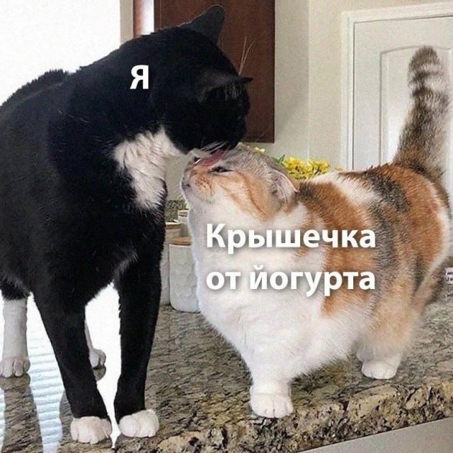 Картинки и мемы для настроения - 19