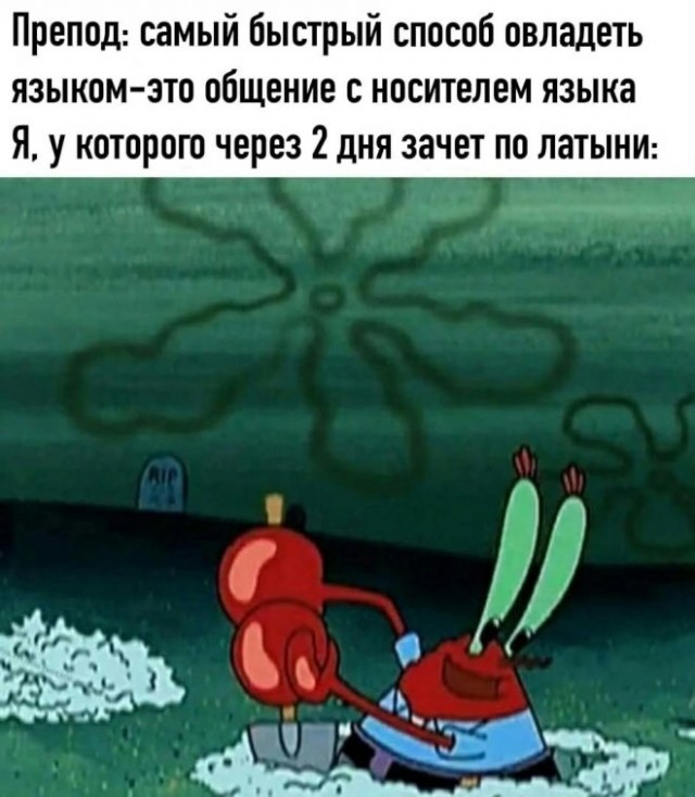 Немного картинок для настроения - 119