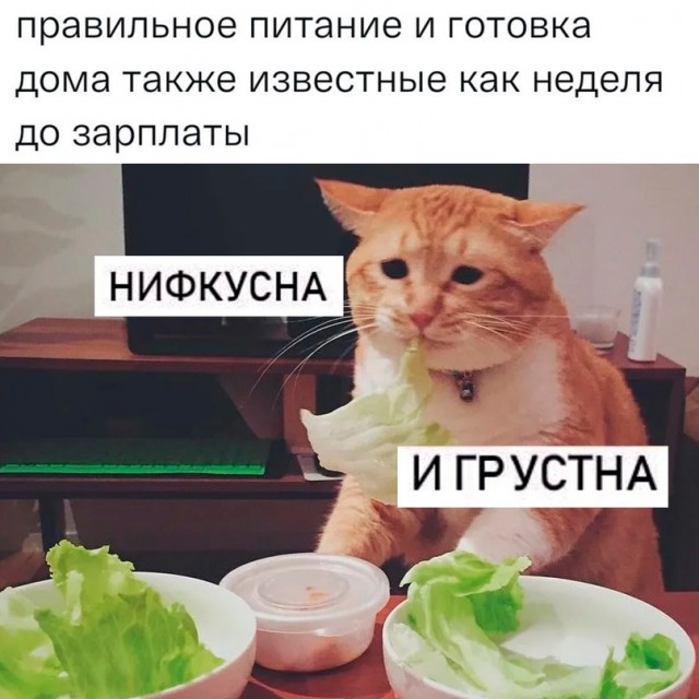 Немного картинок для настроения - 114