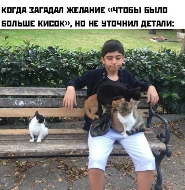 Немного картинок для настроения - 105