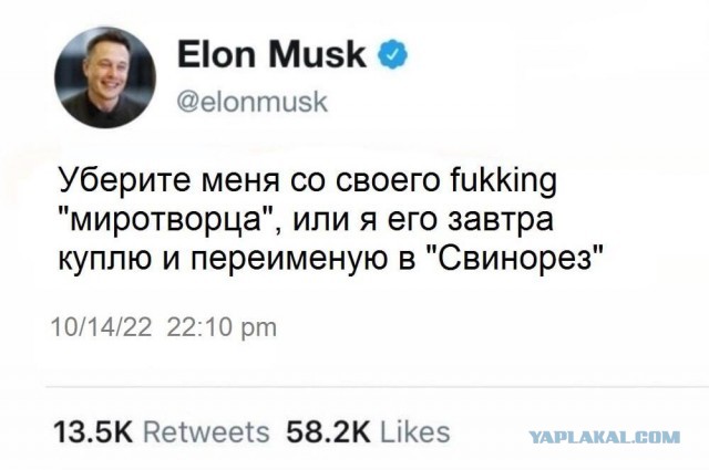 "Охота" на военкоров и блогеров РФ