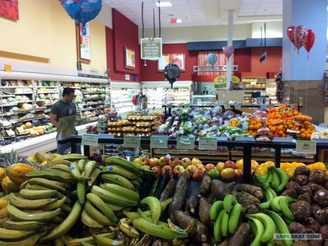 Майами город солнца и океана.