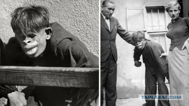 Почему у нас нет шипов на пенисе, от кого мы подцепили лобковых вшей, и почему блондинки сексуальнее брюнеток?