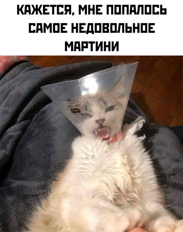 Картинки и мемы для настроения - 123