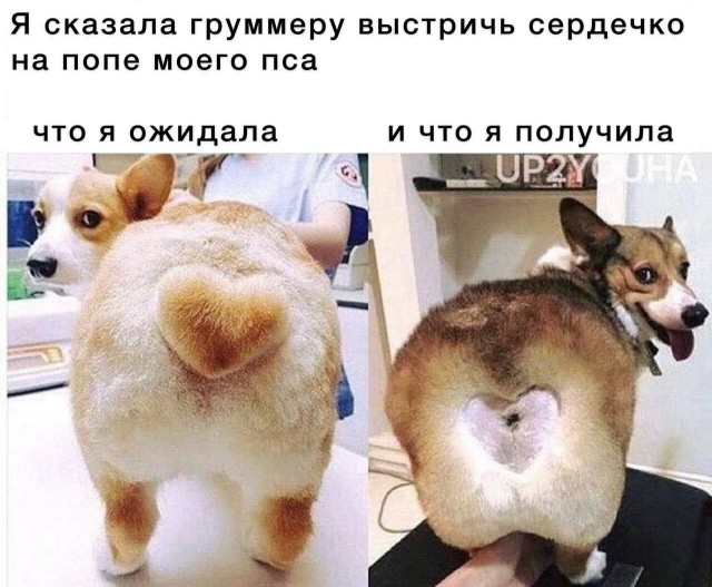 Юмор в картинках и без 01.12.2022