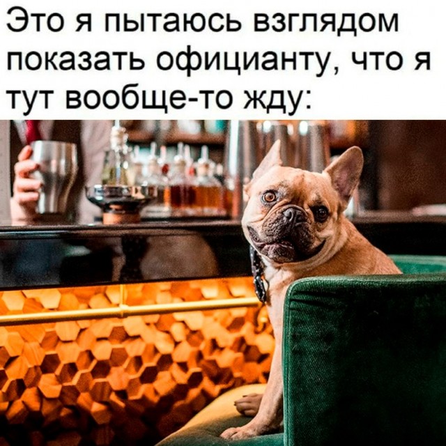 Картинки и мемы. Выходные близко...