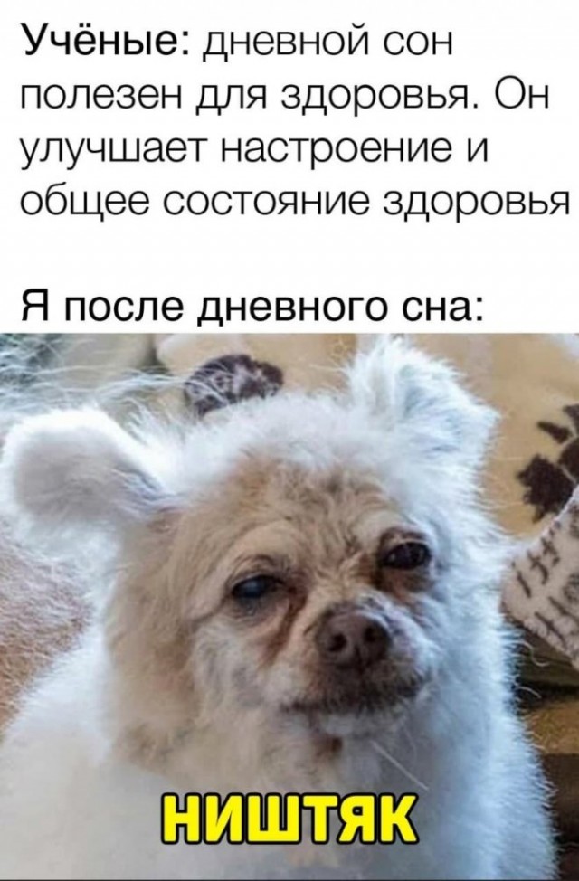 Псто с картинками