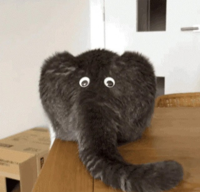 Мимикрия