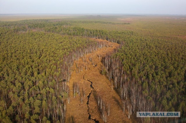 Сибирские перекрёстки