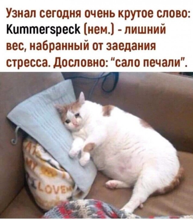 Набор картинок