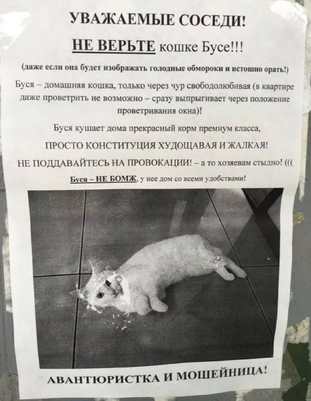 Демократия в опасности!