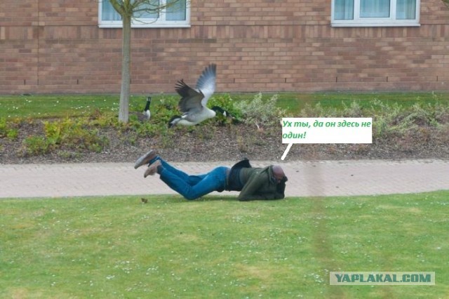 Это мой район, суки! Пошли все вон!