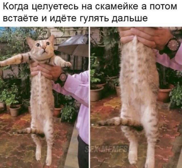 Немного мемчиков. Для взрослых +18. Часть2